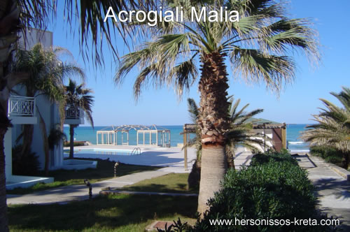 Acrogiali Malia Kreta, appartementen. Aan de beachroad tussen Malia en Stalis.