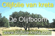 Olijfolie van kreta. alle info over olijfolie met veel foto's. Bestel olijfolie online. Kreta Hersonissos.