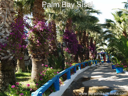 Palm bay sissi Kreta, prachtig appartement net buiten centrum van sissi.