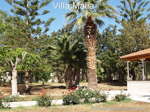 Villa Malia Stalis Kreta Griekenland.