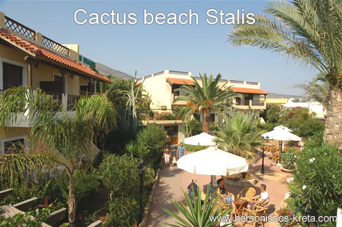 Cactus beach Stalis Kreta Griekenland
