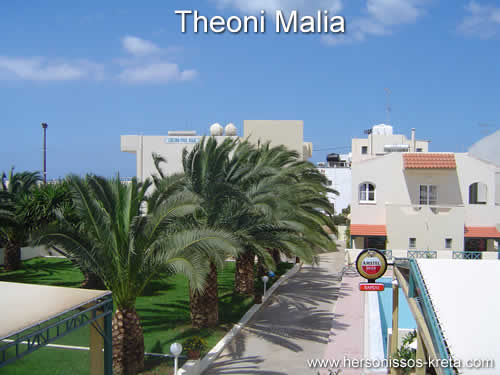 Theoni Malia, appartementen complex aan de hoofdstraat van Malia. Zandstranden op enige afstand. Geen last van het Malia nachtleven.
